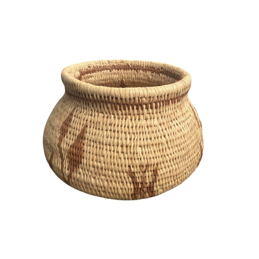 Vintage Handwoven Coil Basket Botanical Geometric Natural Fiber Rainforest Chic